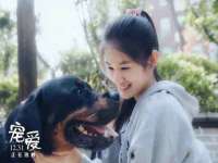 山西诩驰商贸有限公司