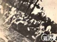 山西诩驰商贸有限公司