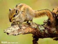 山西诩驰商贸有限公司