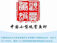 山西诩驰商贸有限公司