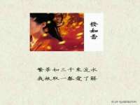 山西诩驰商贸有限公司