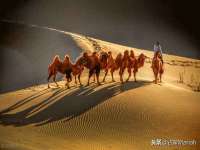 山西诩驰商贸有限公司