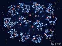 山西诩驰商贸有限公司