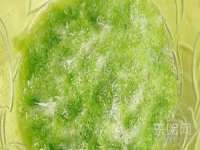山西诩驰商贸有限公司