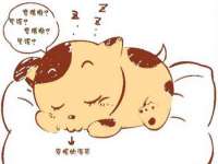 山西诩驰商贸有限公司