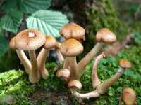 山西诩驰商贸有限公司