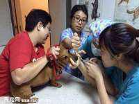 山西诩驰商贸有限公司