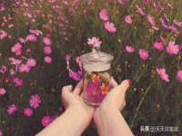 山西诩驰商贸有限公司
