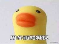 山西诩驰商贸有限公司
