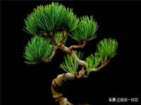 山西诩驰商贸有限公司