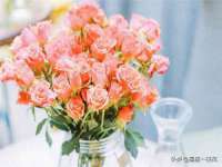 山西诩驰商贸有限公司