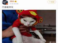 山西诩驰商贸有限公司