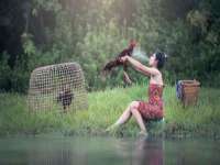 山西诩驰商贸有限公司