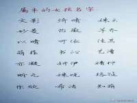 山西诩驰商贸有限公司